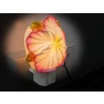 Colorful Ceramic Night lamps		A				 