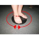 waist twisting disc						 