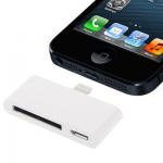 30-Pin and Micro USB to 8-Pin Lightning Adapter Converter for iPhone 5