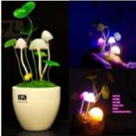 Mushroom lamp (Ceramics Flowerpot)						 